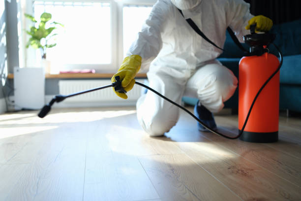 Reliable Biohazard Cleanup contractor in Gerlach, NV by Trauma Clean Pros
